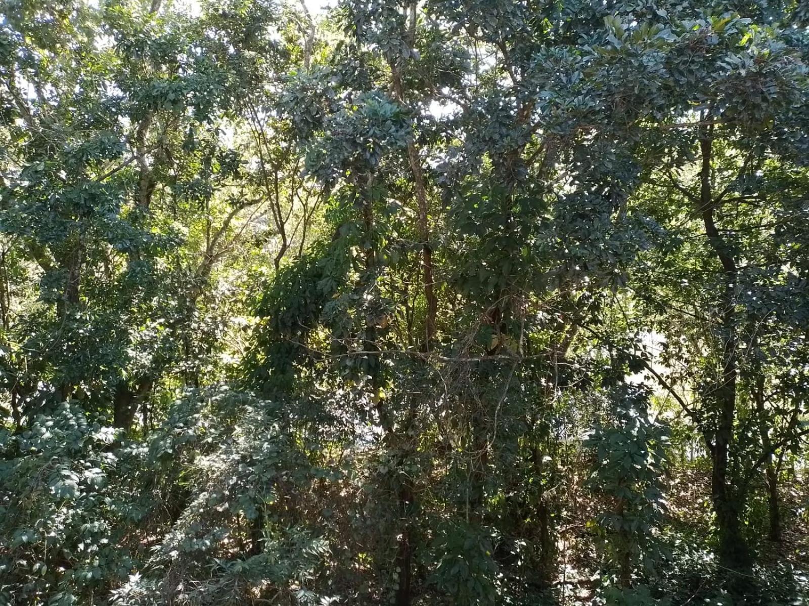 Flat Duplex Em Paradisiaco Angra dos Reis
